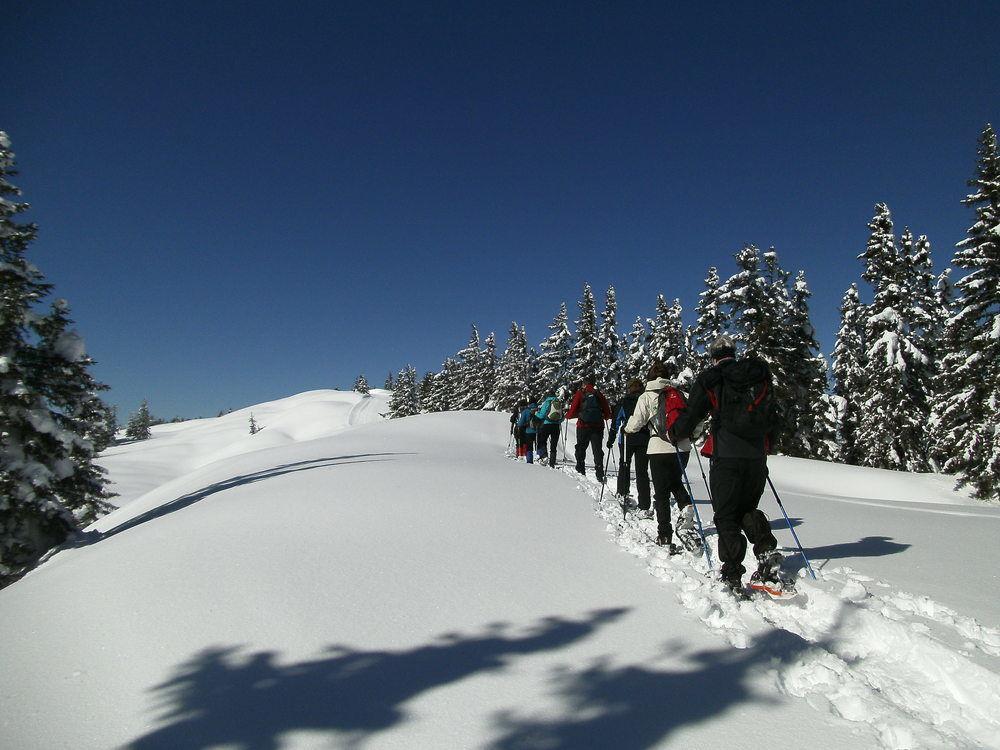 Premium Wanderhotel Steirerhof Schladming Bagian luar foto