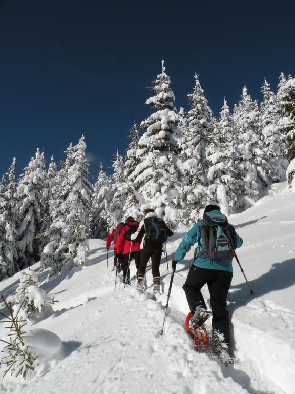 Premium Wanderhotel Steirerhof Schladming Bagian luar foto